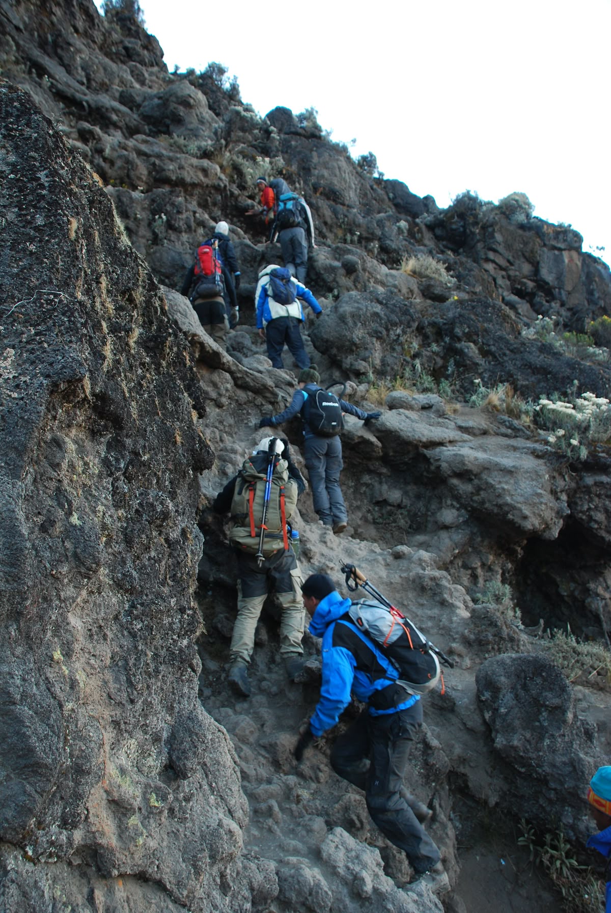 Umbwe Extreme Summit – 6 Days Kilimanjaro Adventure gallery 4