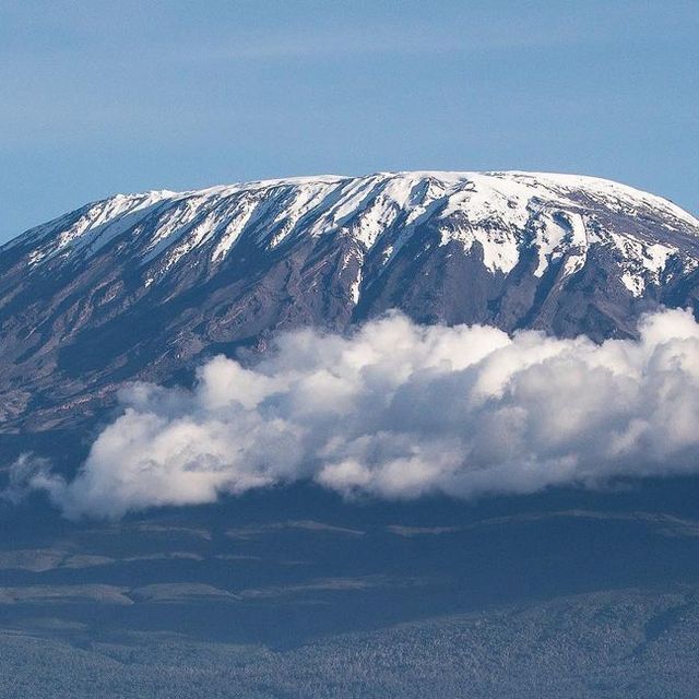 Umbwe Extreme Summit – 6 Days Kilimanjaro Adventure gallery 5