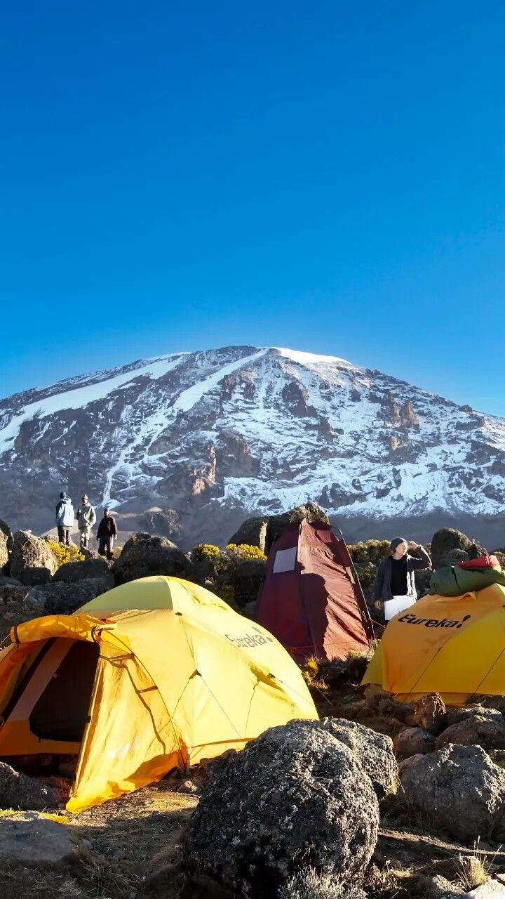 Umbwe Extreme Summit – 6 Days Kilimanjaro Adventure gallery 6