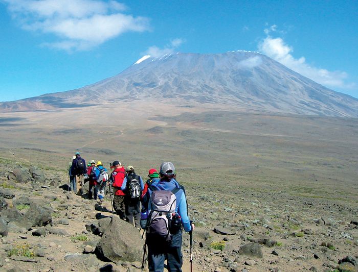 Umbwe Extreme Summit – 6 Days Kilimanjaro Adventure gallery 7