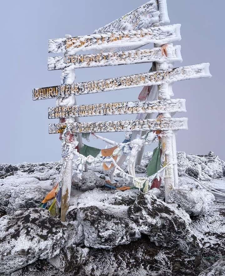 Lemosho Grand Expedition – 8 Days Kilimanjaro Summit gallery 2