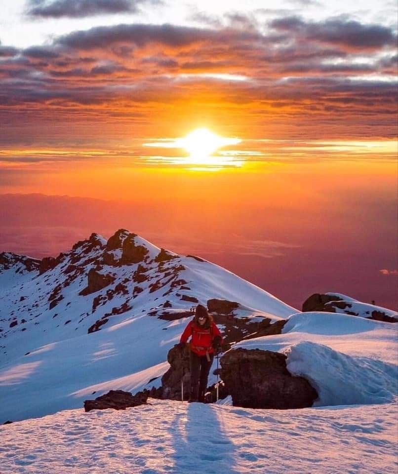 Lemosho Grand Expedition – 8 Days Kilimanjaro Summit gallery 6