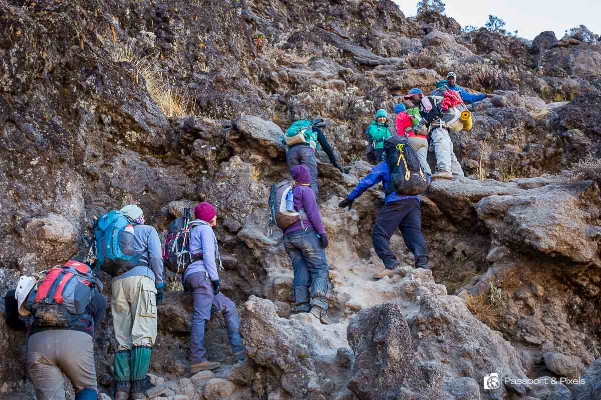 Lemosho Grand Expedition – 8 Days Kilimanjaro Summit gallery 7