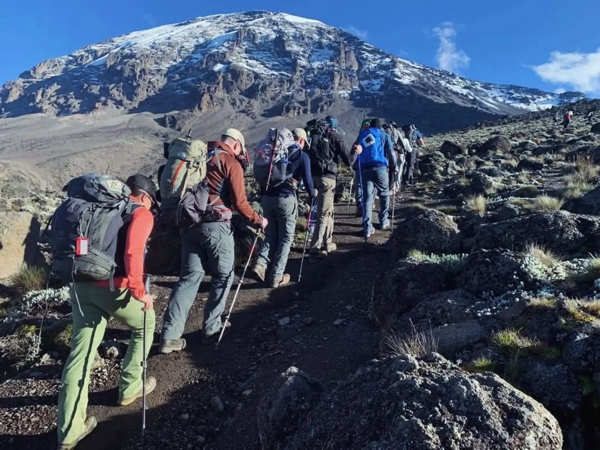 Lemosho Grand Expedition – 8 Days Kilimanjaro Summit gallery 10
