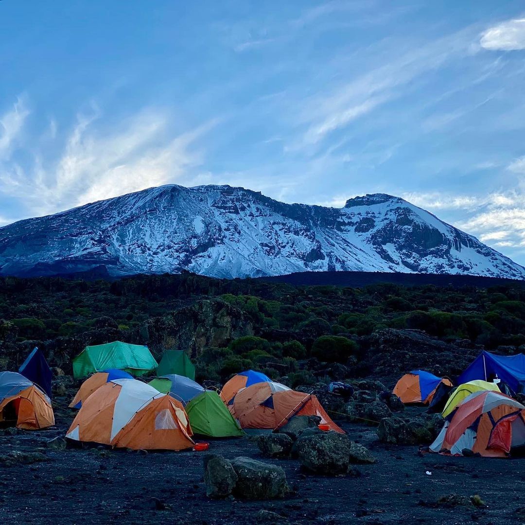 Northern Circuit Grand Expedition – 8 Days Kilimanjaro Summit gallery 3