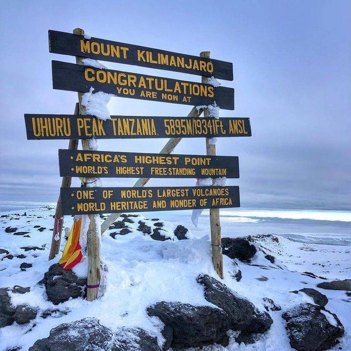 Northern Circuit Grand Expedition – 8 Days Kilimanjaro Summit gallery 6