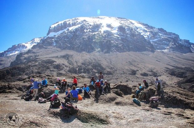 Northern Circuit Grand Expedition – 8 Days Kilimanjaro Summit gallery 7