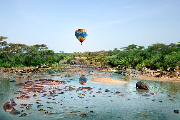 Northern Tanzania Wilderness Escape – 3 Days Safari gallery 5