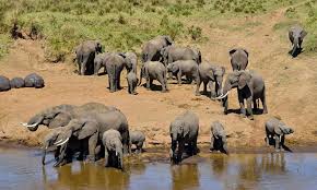 Northern Tanzania Wilderness Escape – 3 Days Safari gallery 9