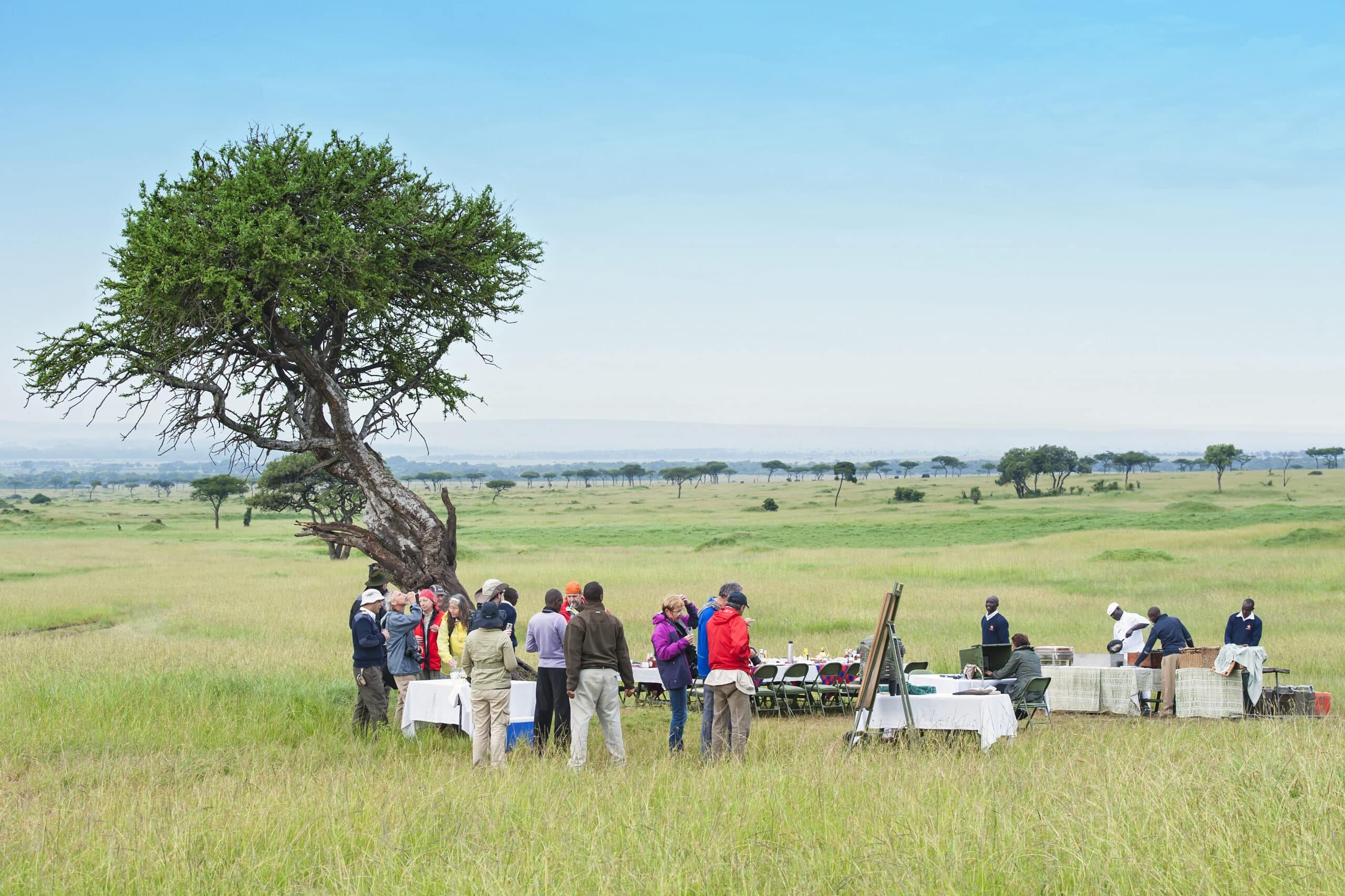 Northern Tanzania Grand Safari – 4 Days Adventure gallery 8