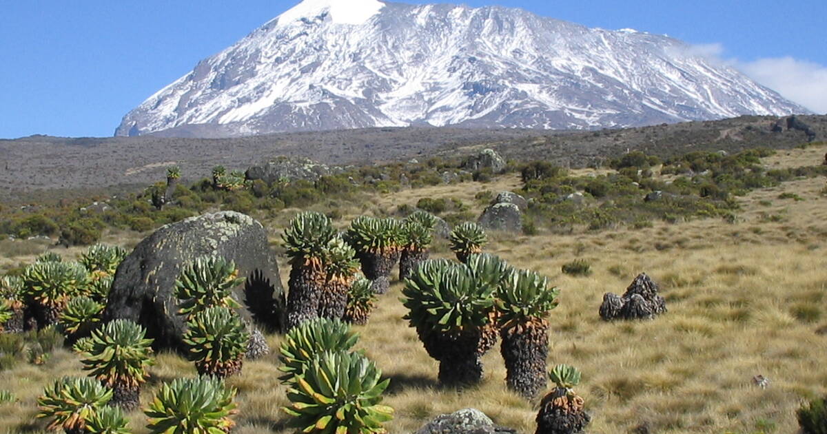 The Shira Plateau Grand Traverse – 7 Days — tour on MyBlak