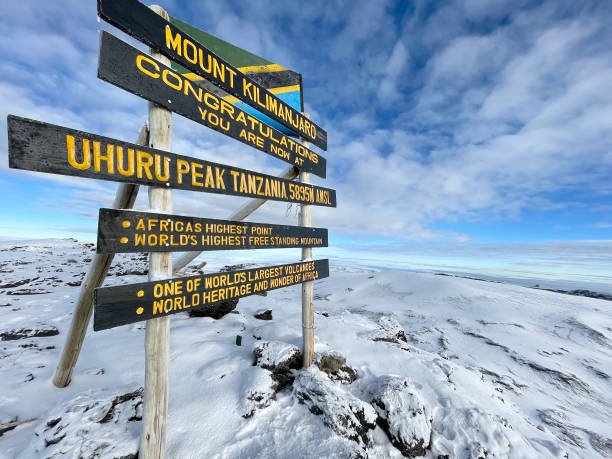 Lemosho Grand Expedition – 8 Days Kilimanjaro Summit — tour on MyBlak