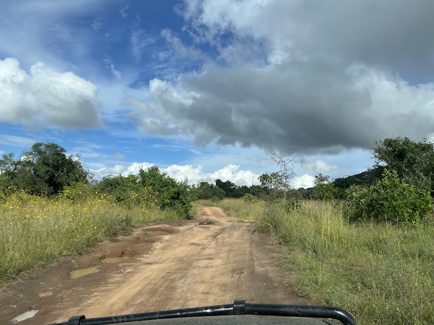 Akagera National Park gallery 3
