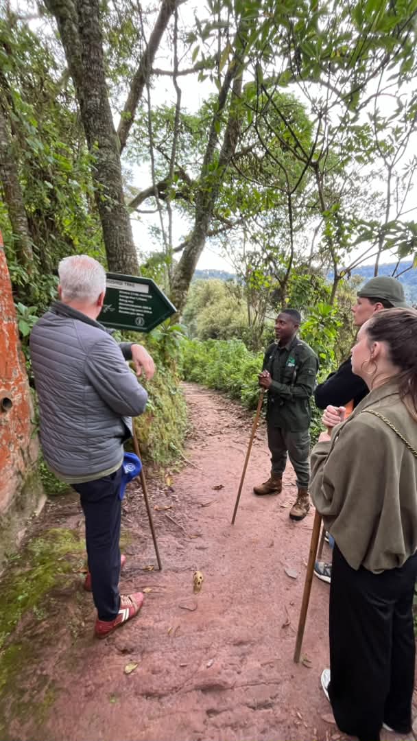 Nyungwe National Park gallery 5