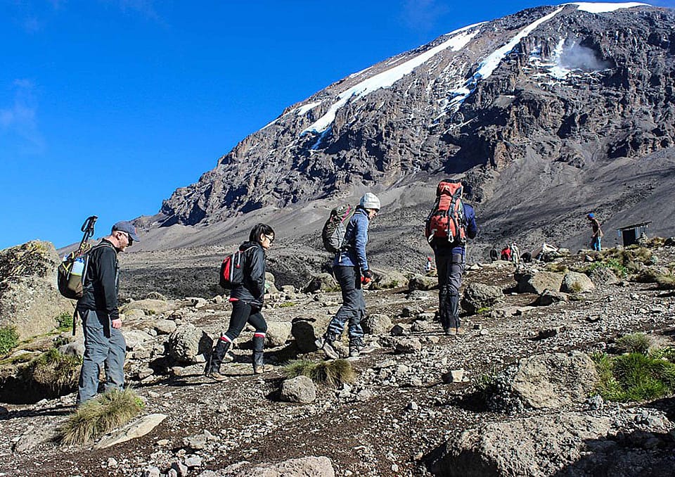 Mount Kilimanjaro Climb via the Lemosho Route – 8 Days / 7 Nights gallery 1