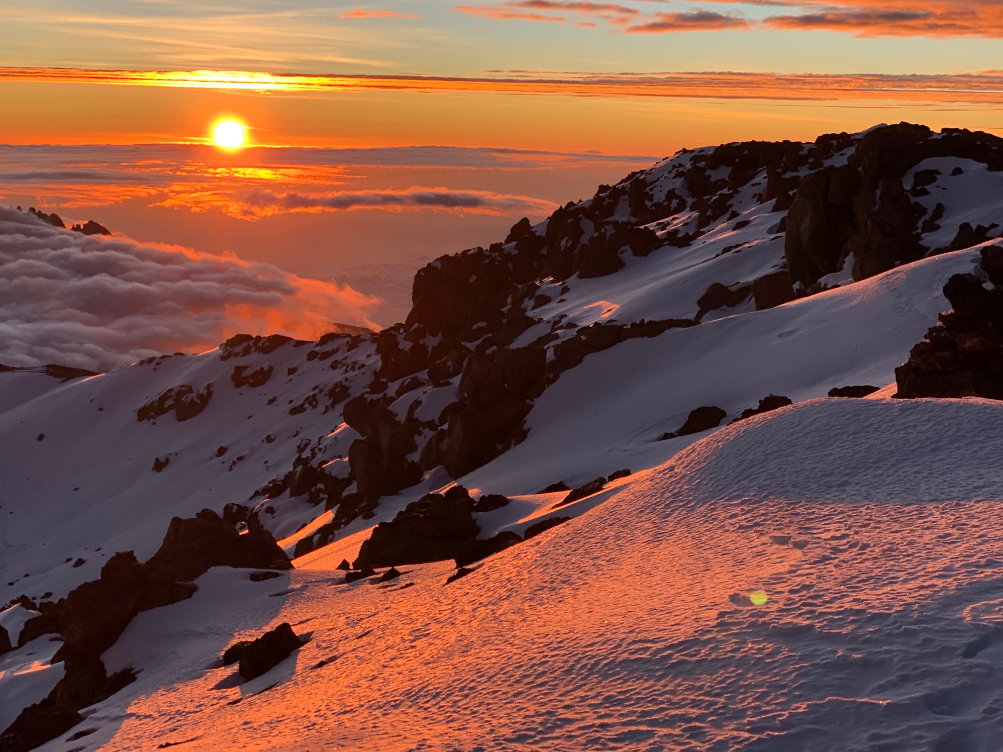 Mount Kilimanjaro Climb via the Lemosho Route – 8 Days / 7 Nights gallery 4