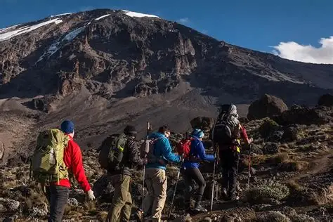 7-Day Mount Kilimanjaro Machame Route Itinerary (Including Arrival & Departure Days) gallery 1