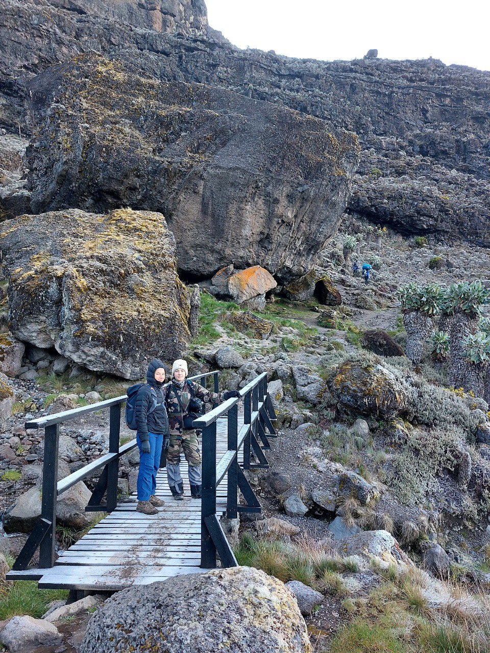 7-Day Mount Kilimanjaro Machame Route Itinerary (Including Arrival & Departure Days) gallery 2