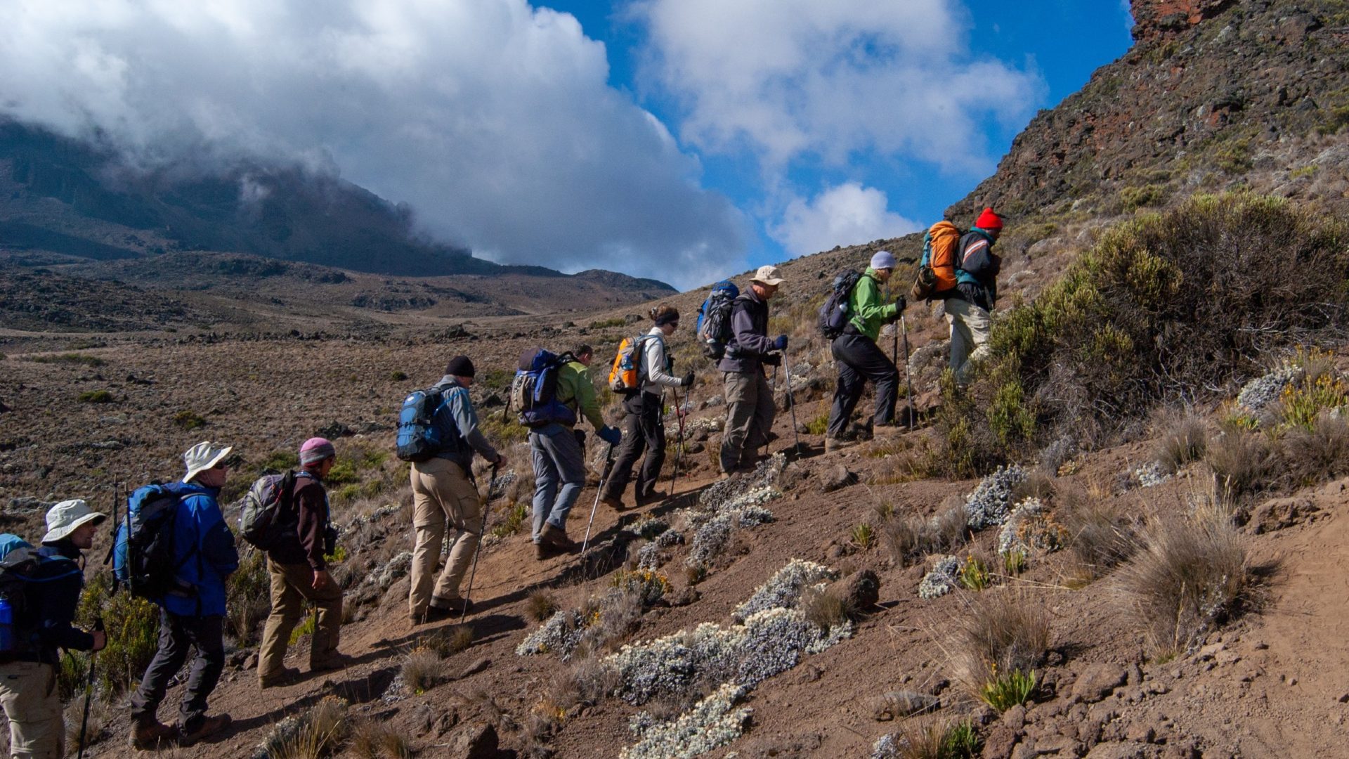 Mount Kilimanjaro Climb via the Lemosho Route – 8 Days / 7 Nights — tour on MyBlak