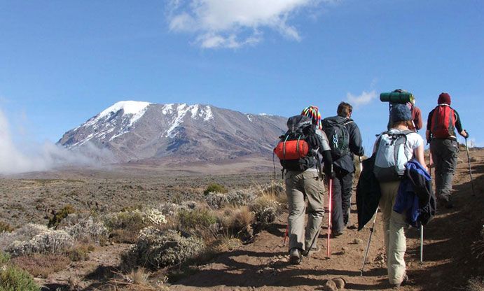 7-Day Mount Kilimanjaro Machame Route Itinerary (Including Arrival & Departure Days) — tour on MyBlak