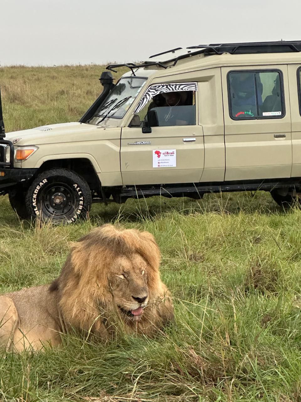 3 Days Maasai Mara Group Joining Safari from Nairobi gallery 1