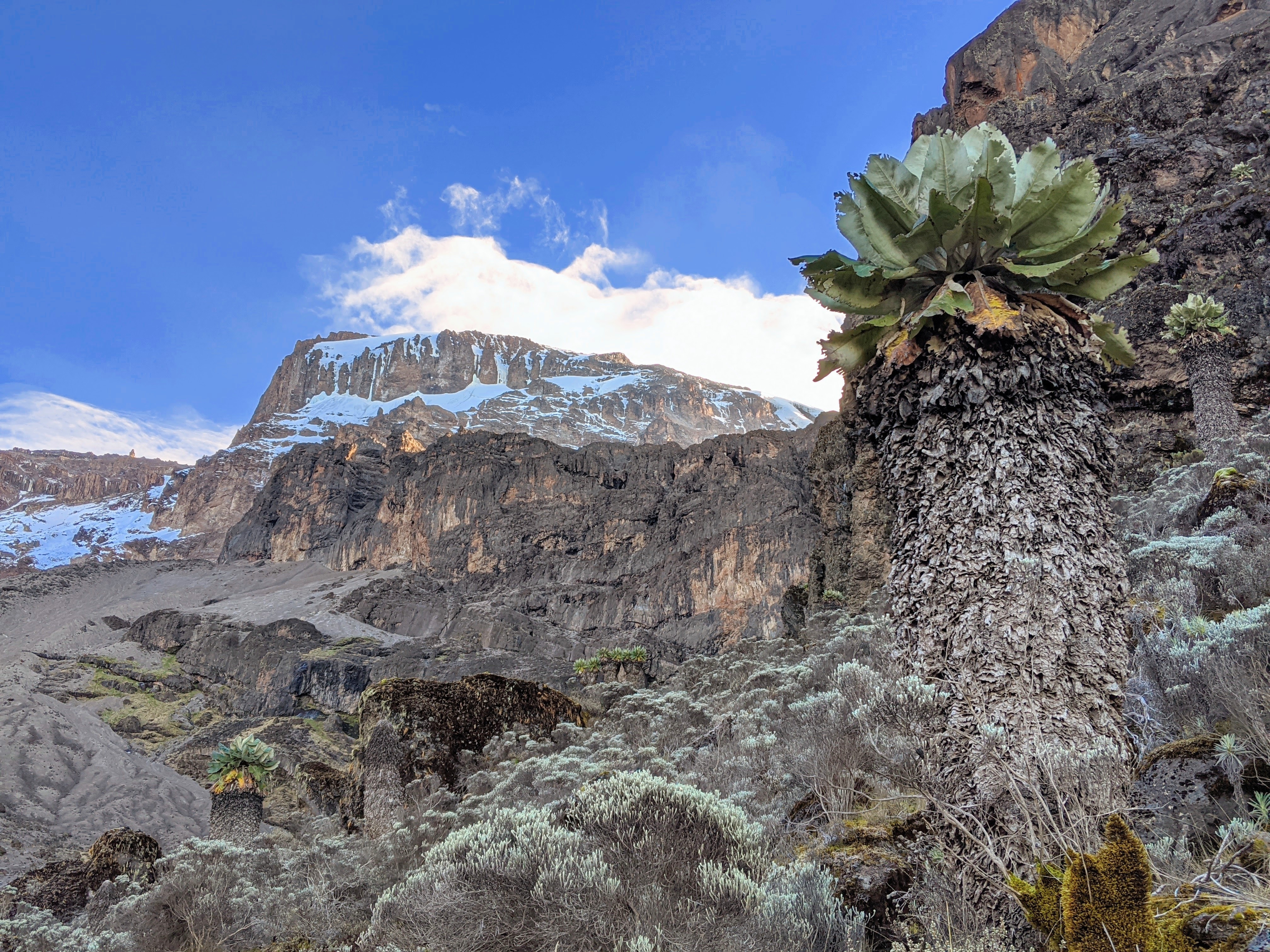 #1. Best Kilimanjaro Day hike Tour-Marangu Route gallery 5