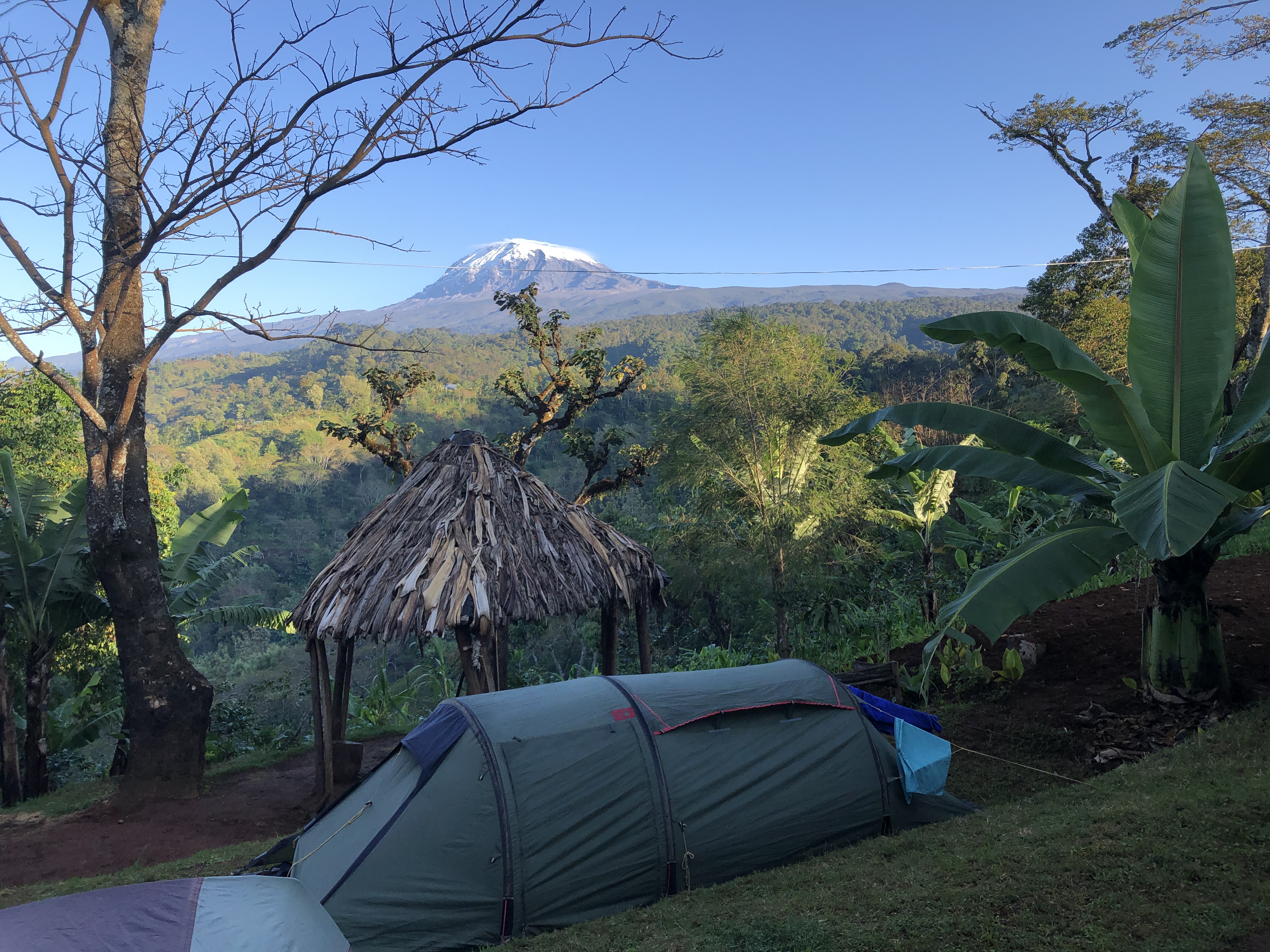 Kilimanjaro Climbing By Car, Day Trip For Non-summit People gallery 7