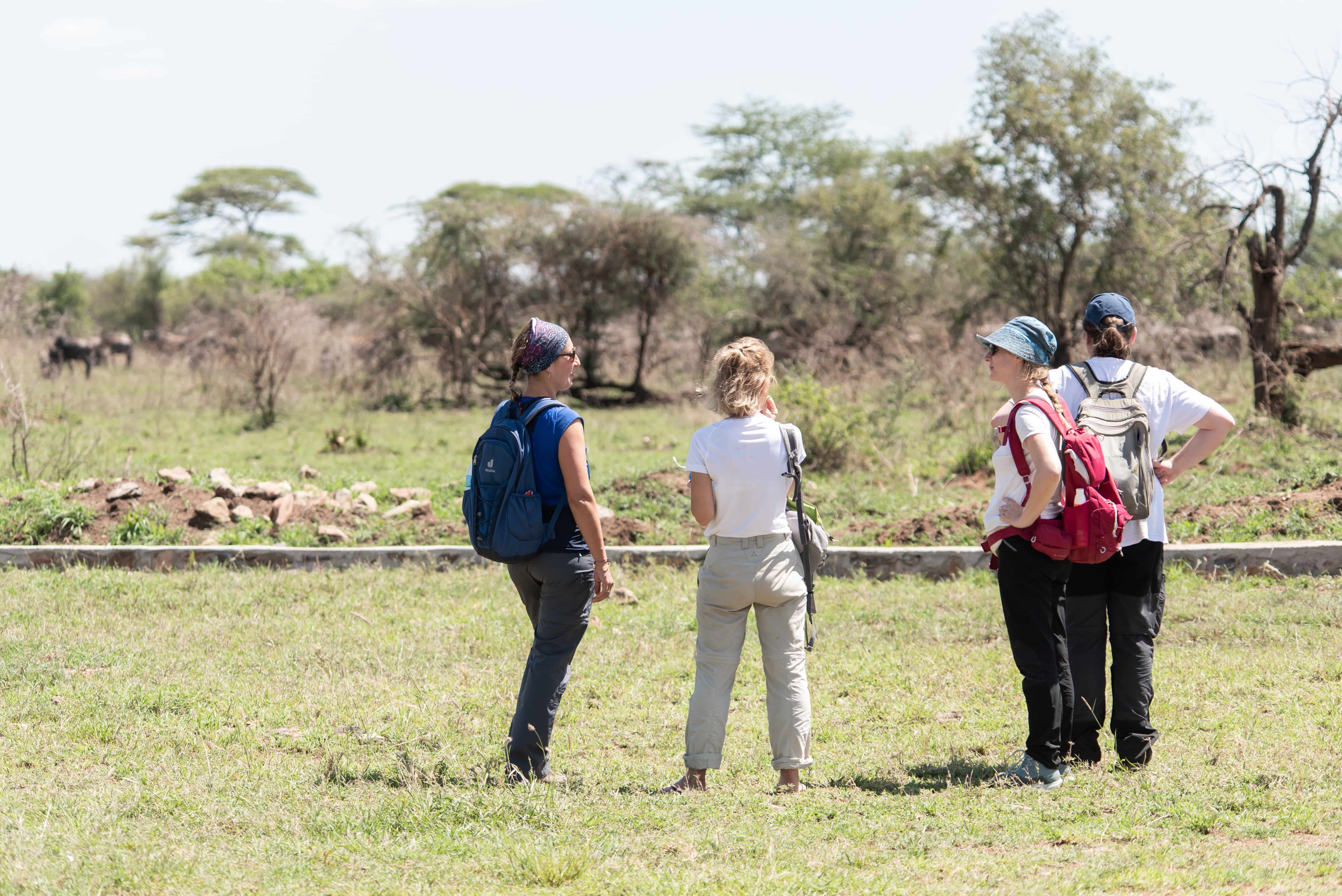 Tanzania Wildlife Safaris, Day Trip in Arusha National Park gallery 9
