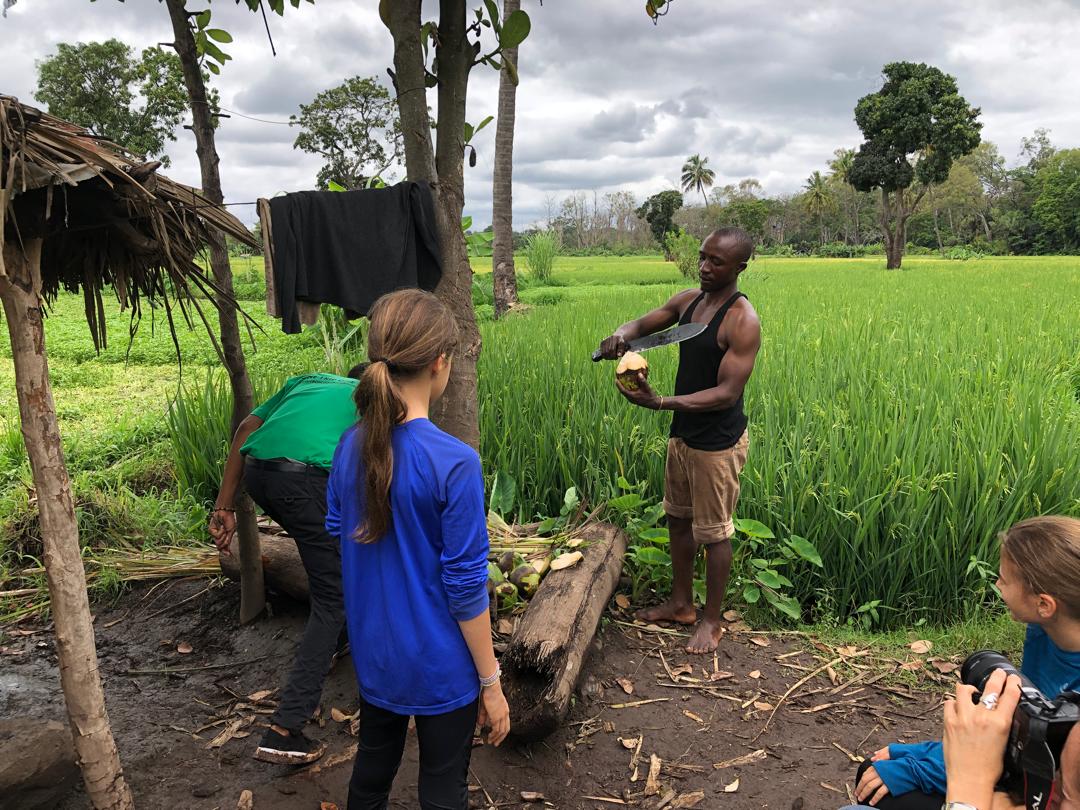 Book Day Hike at Rau Forest Reserve, Near Moshi Town in Tanzania gallery 6