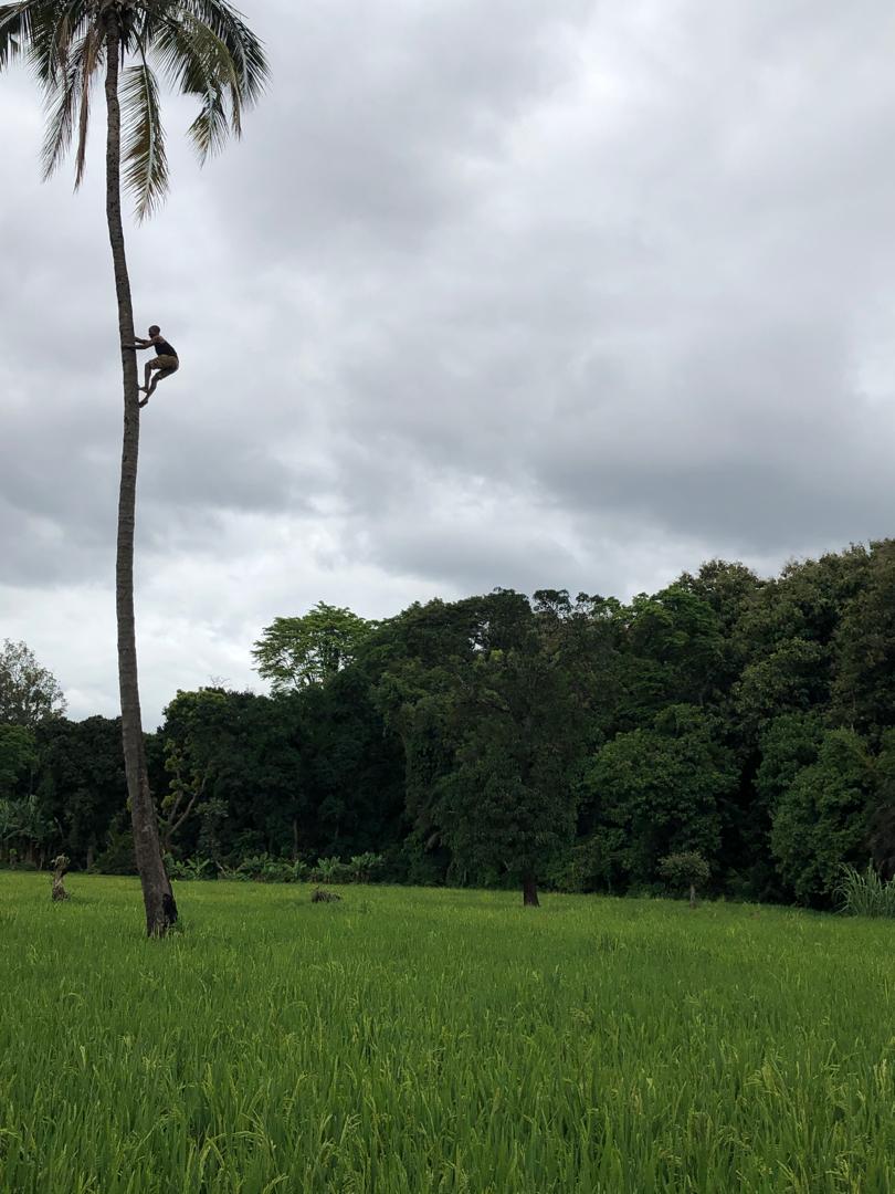 Book Day Hike at Rau Forest Reserve, Near Moshi Town in Tanzania gallery 7