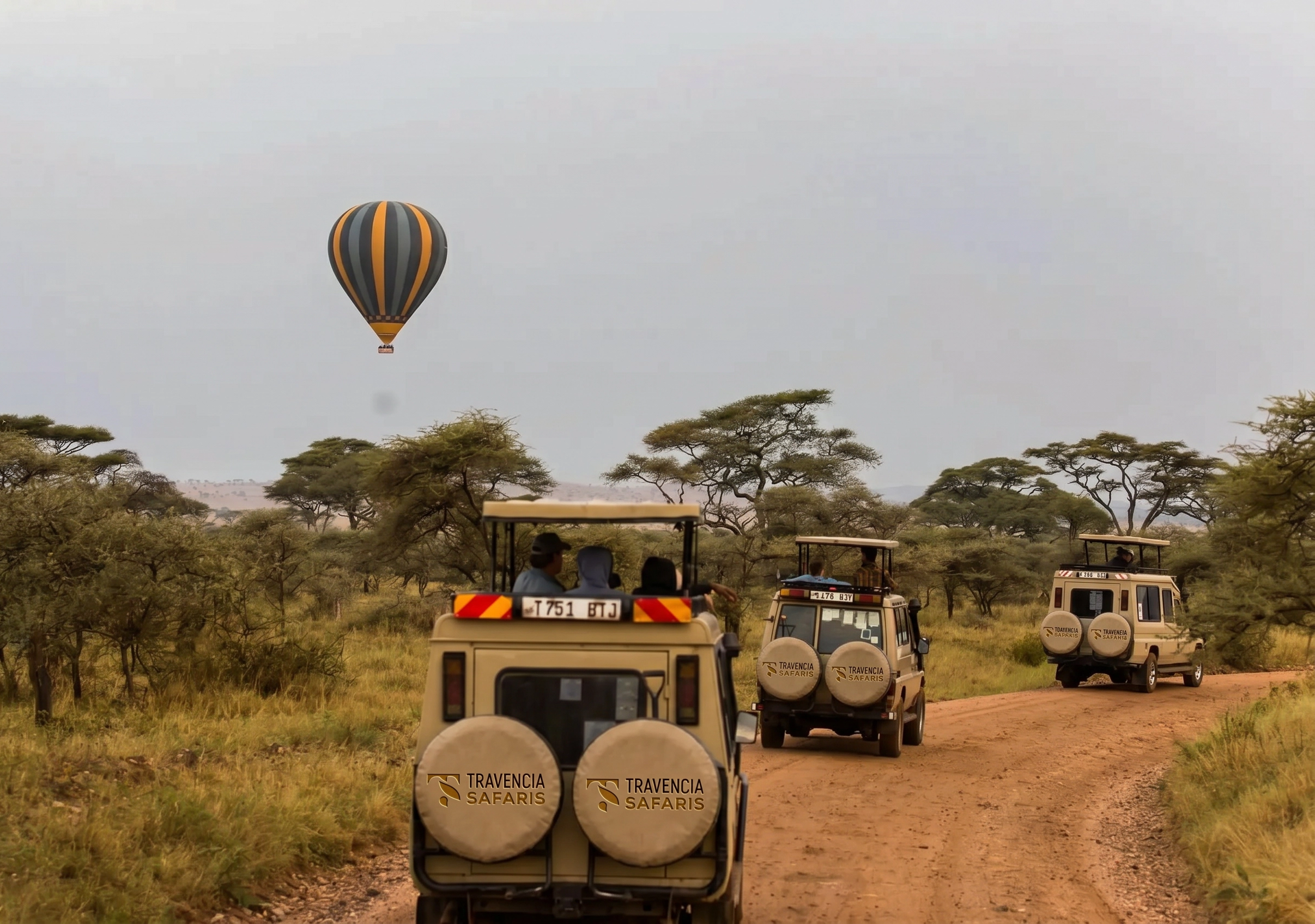Tarangire, Ngorongoro Crater & Manyara Safari gallery 2