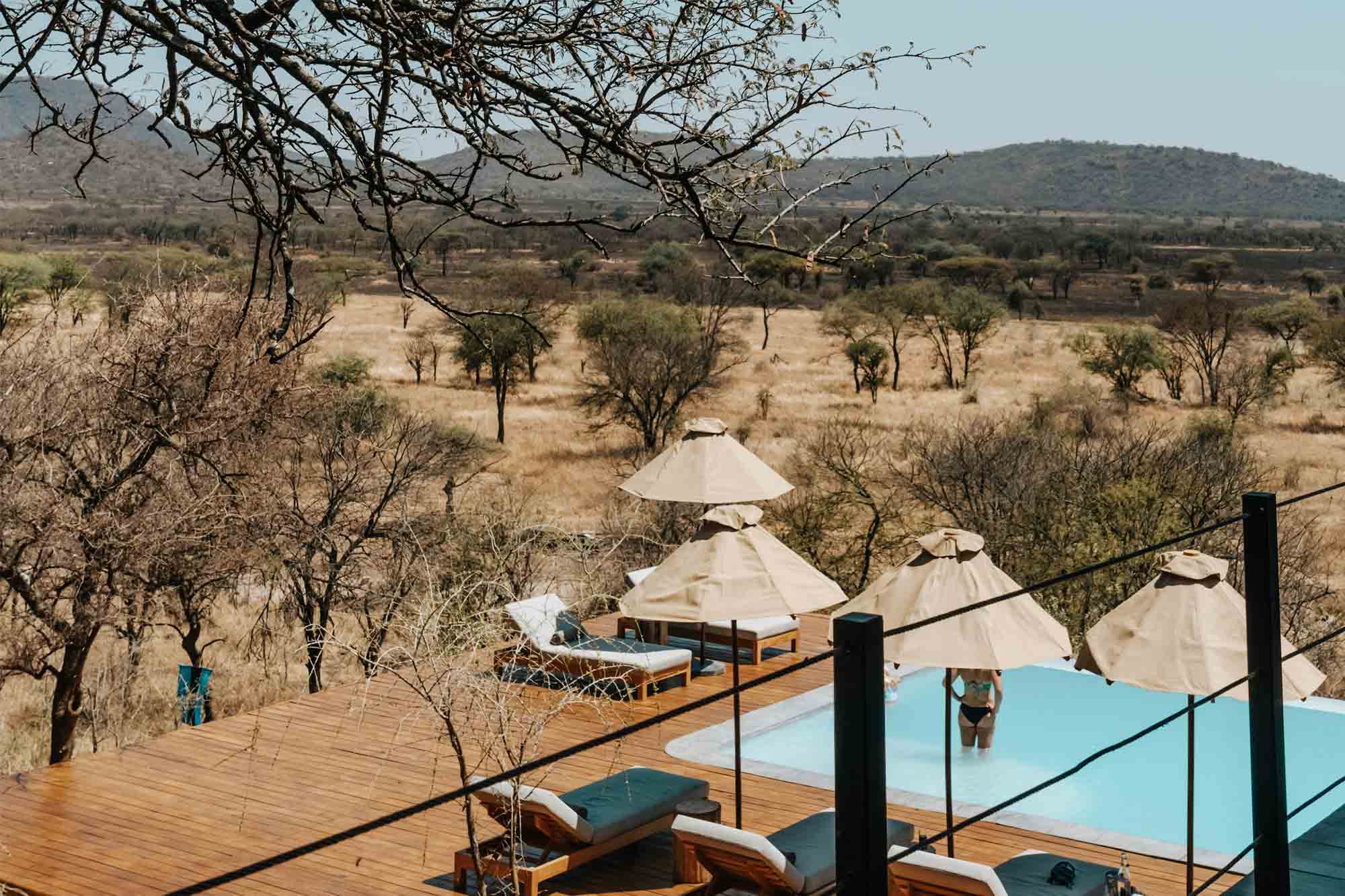 10 Day Honeymoon Tanzania Safari & Zanzibar Escape. gallery 8