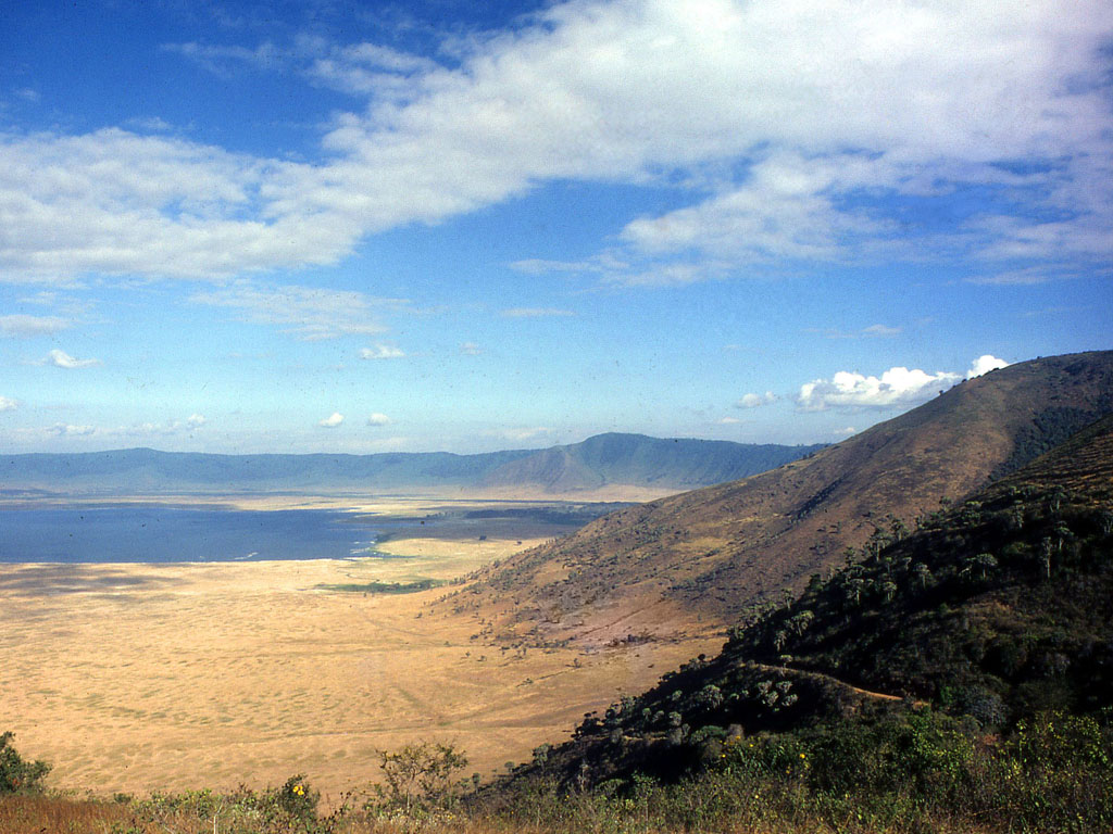 4 Days/3 Nights Tanzania Short & Sweet Safari adventure – Deluxe gallery 4