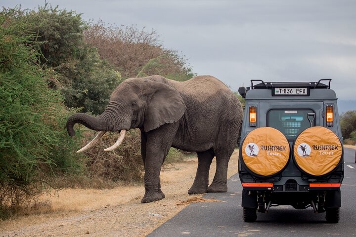 6 Days/5 Nights Exciting Safari Escape - Economy gallery 1