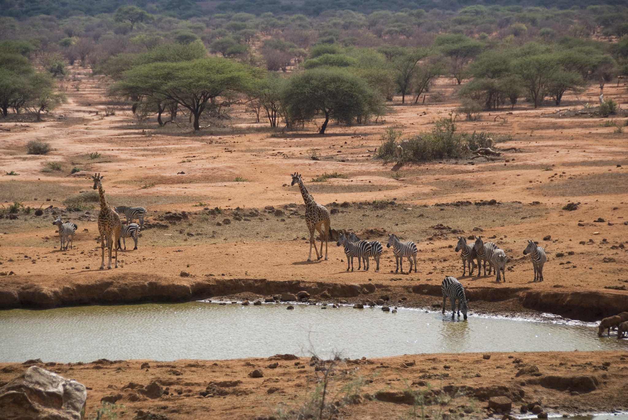 6 Days/5 Nights Exciting Safari Escape - Economy gallery 5