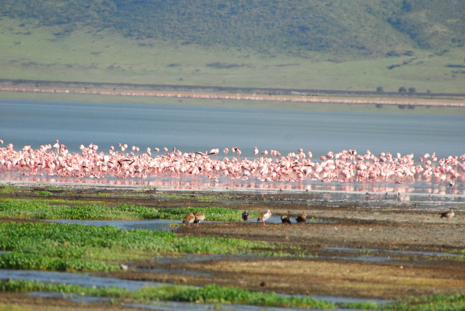 6 Days/5 Nights Exciting Safari Escape - Economy gallery 6