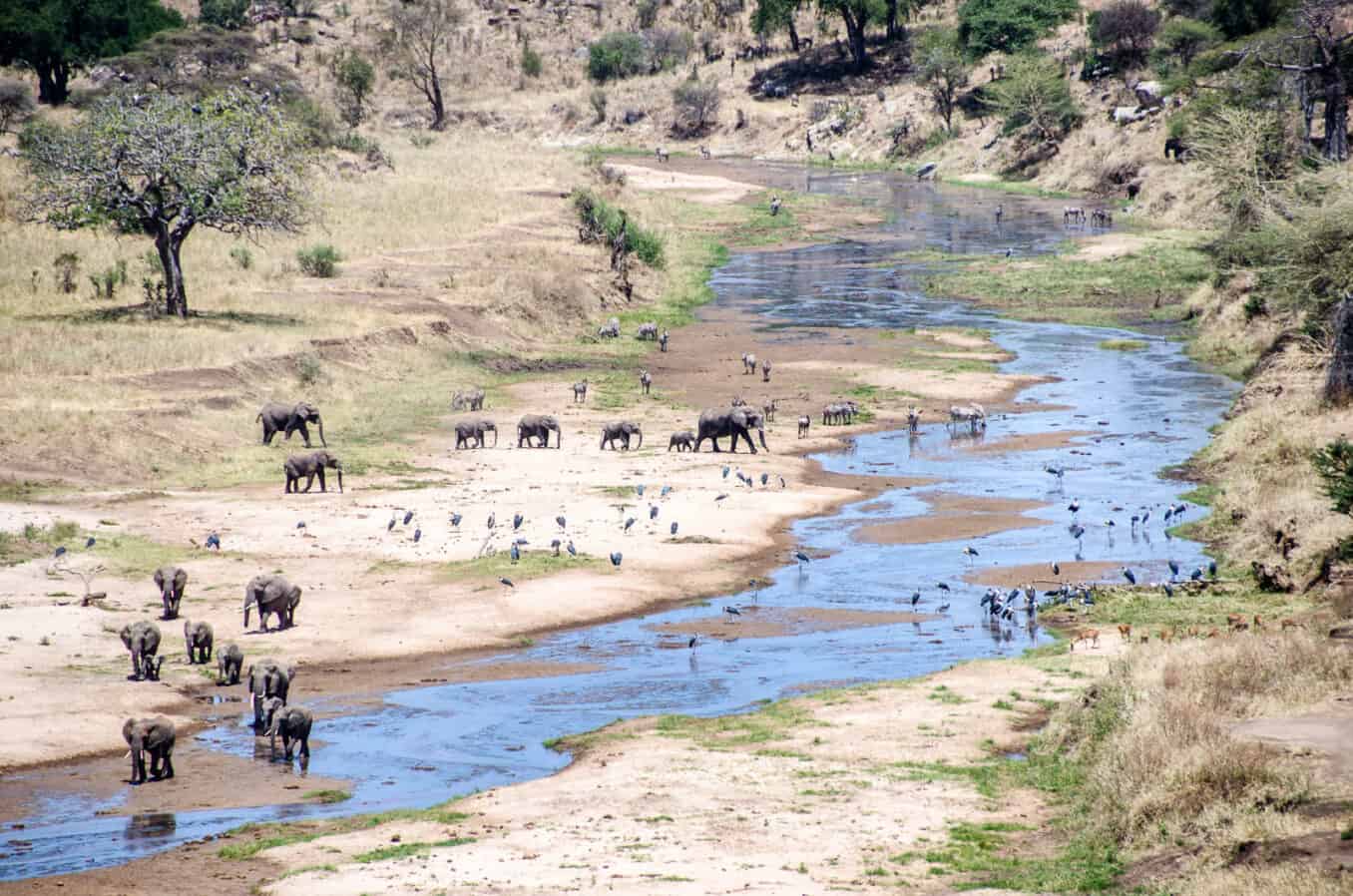 6 Days/5 Nights Exciting Safari Escape - Economy gallery 7