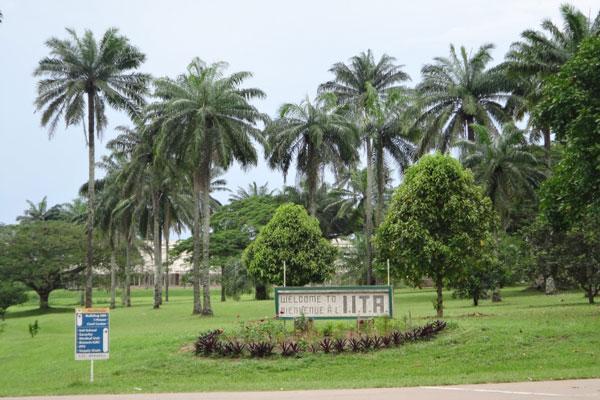 IITA Ibadan Adventure & City Tour gallery 5