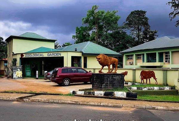 IITA Ibadan Adventure & City Tour gallery 9