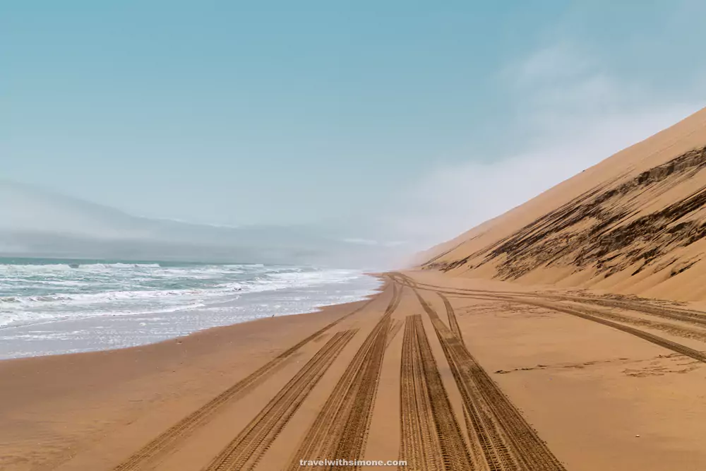 **Dunes, Deltas & Thunder: ** The Ultimate 25-Day Southern African Safari gallery 3