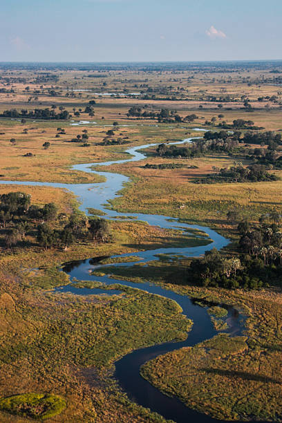 **Dunes, Deltas & Thunder: ** The Ultimate 25-Day Southern African Safari gallery 4