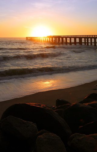 **Dunes, Deltas & Thunder: ** The Ultimate 25-Day Southern African Safari gallery 5