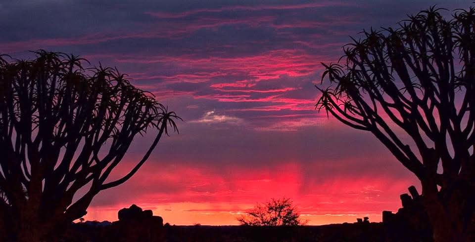 **Dunes, Deltas & Thunder: ** The Ultimate 25-Day Southern African Safari gallery 9